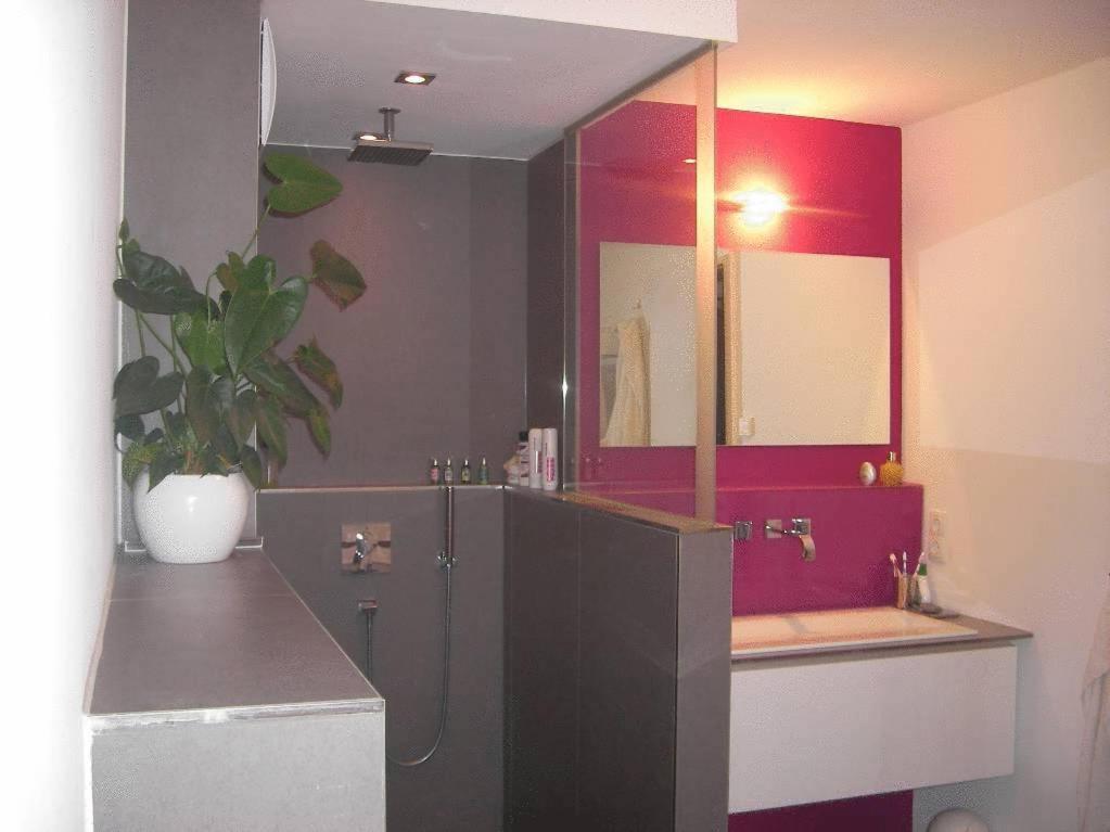كونفيستهايم Appartement Am Salamanderpark المظهر الخارجي الصورة